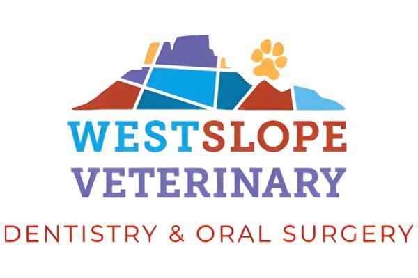 Western Slope Veterinary Dentistry and Oral Surgery